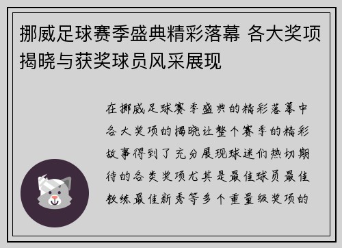 挪威足球赛季盛典精彩落幕 各大奖项揭晓与获奖球员风采展现