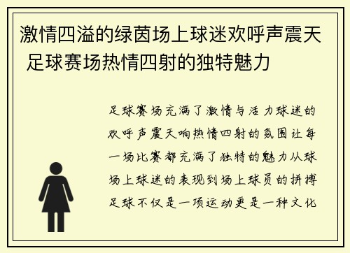 激情四溢的绿茵场上球迷欢呼声震天 足球赛场热情四射的独特魅力
