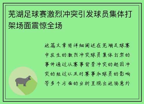 芜湖足球赛激烈冲突引发球员集体打架场面震惊全场