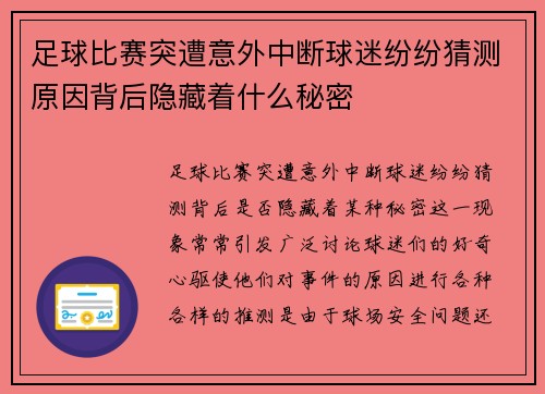 足球比赛突遭意外中断球迷纷纷猜测原因背后隐藏着什么秘密