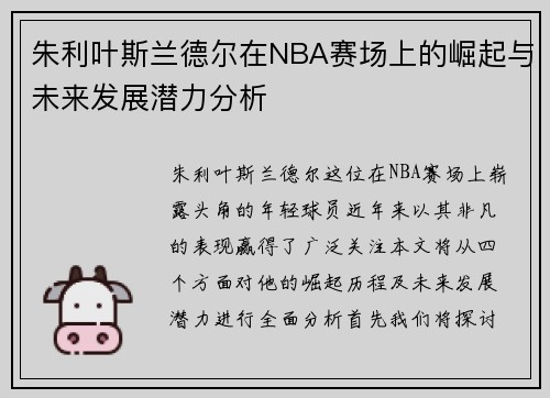朱利叶斯兰德尔在NBA赛场上的崛起与未来发展潜力分析