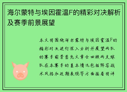 海尔蒙特与埃因霍温F的精彩对决解析及赛季前景展望